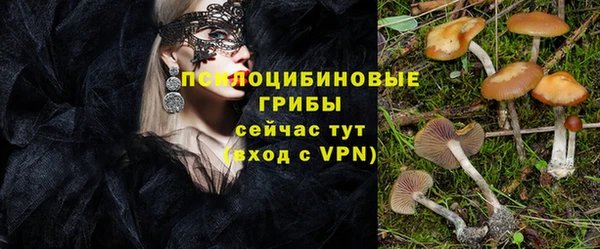 винт Балахна