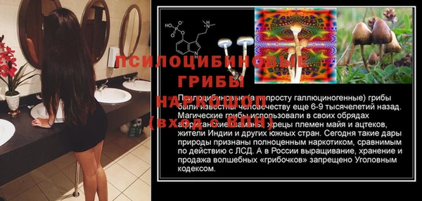 ГАЛЛЮЦИНОГЕННЫЕ ГРИБЫ Баксан